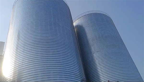 独山2座混凝土高架卷板仓